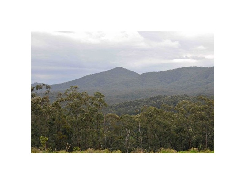 1318 Booral Rd, Girvan NSW 2425