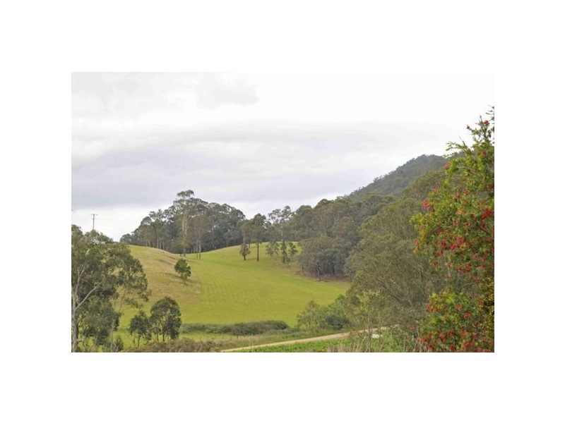 51 Parkside Close, Stroud Road NSW 2415