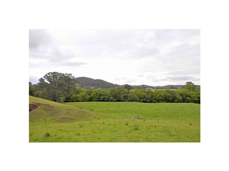 51 Parkside Close, Stroud Road NSW 2415