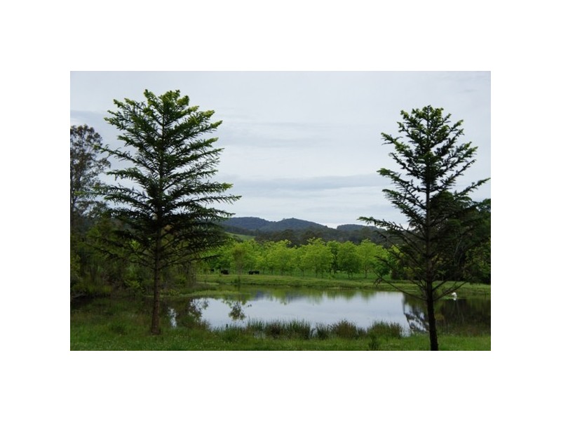 1450 Booral Rd, Girvan NSW 2425