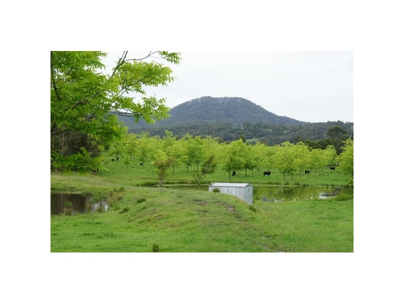 1450 Booral Rd, Girvan NSW 2425