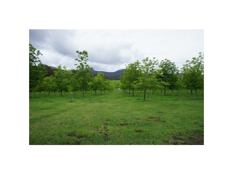 1450 Booral Rd, Girvan NSW 2425