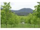 1450 Booral Rd, Girvan NSW 2425