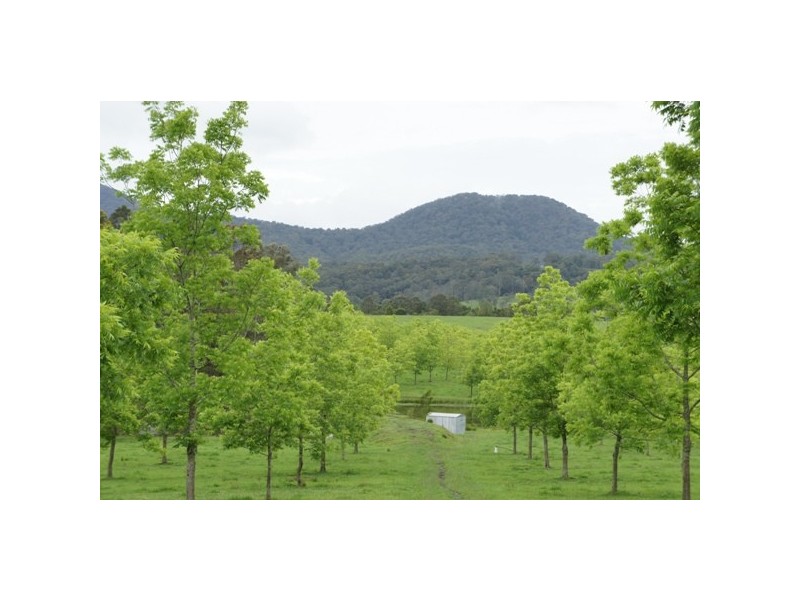 1450 Booral Rd, Girvan NSW 2425