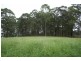1450 Booral Rd, Girvan NSW 2425