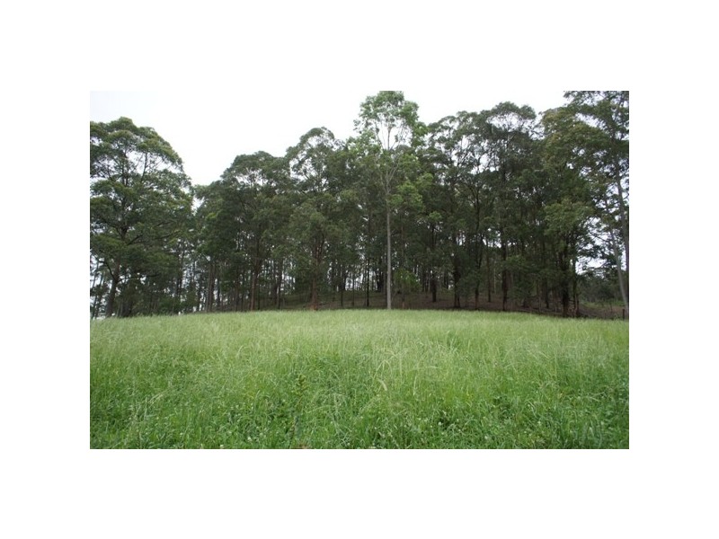1450 Booral Rd, Girvan NSW 2425