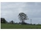 1450 Booral Rd, Girvan NSW 2425