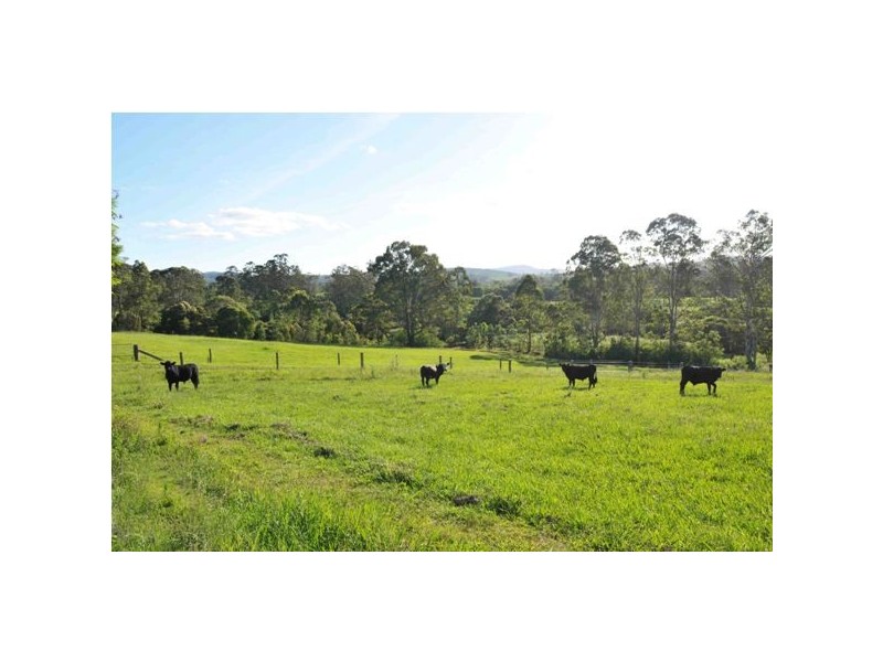 102 Johnsons Creek Rd, Stroud Road NSW 2415