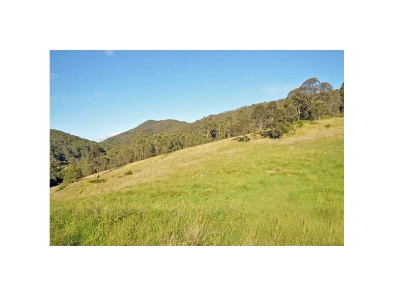 102 Johnsons Creek Rd, Stroud Road NSW 2415