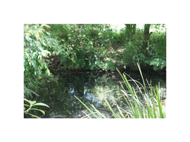 32 Berkeley Street, Stroud NSW 2425