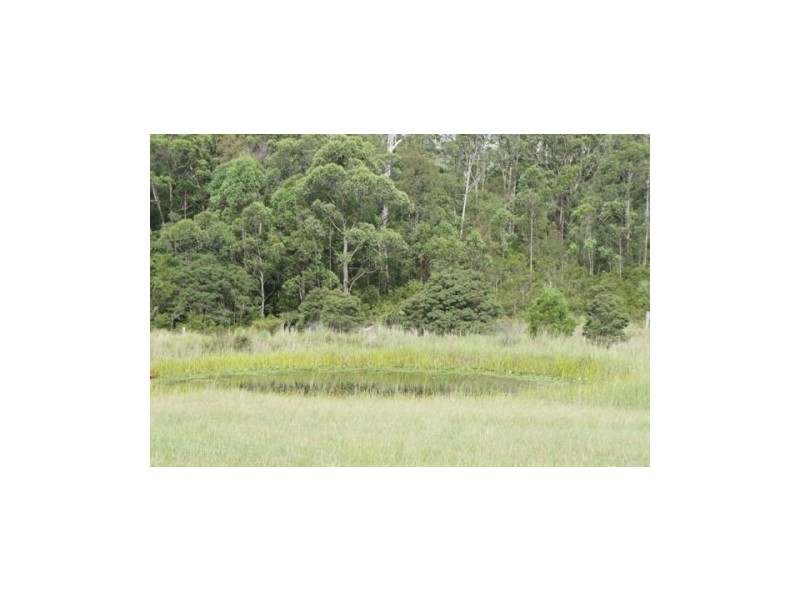 31 Nugra Lane, Girvan NSW 2425