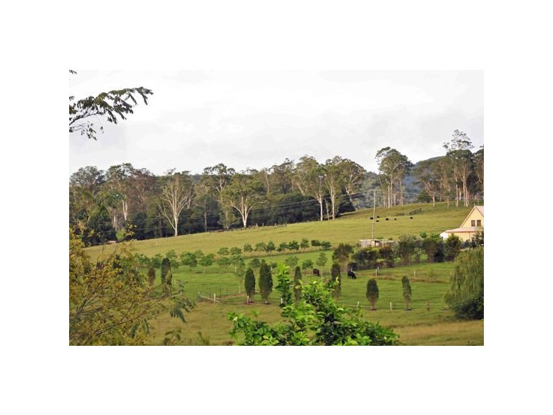 40 Cowper Street, Stroud NSW 2425