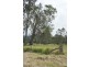 Lot 205 Bucketts Way, Booral NSW 2425