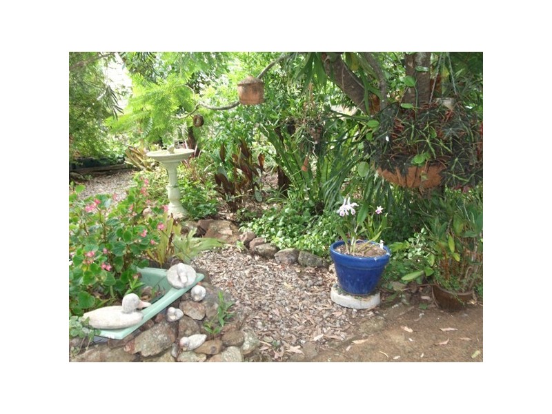 140 Johnsons Creek Rd, Stroud Road NSW 2415