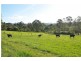 102 Johnsons Creek Rd, Stroud Road NSW 2415