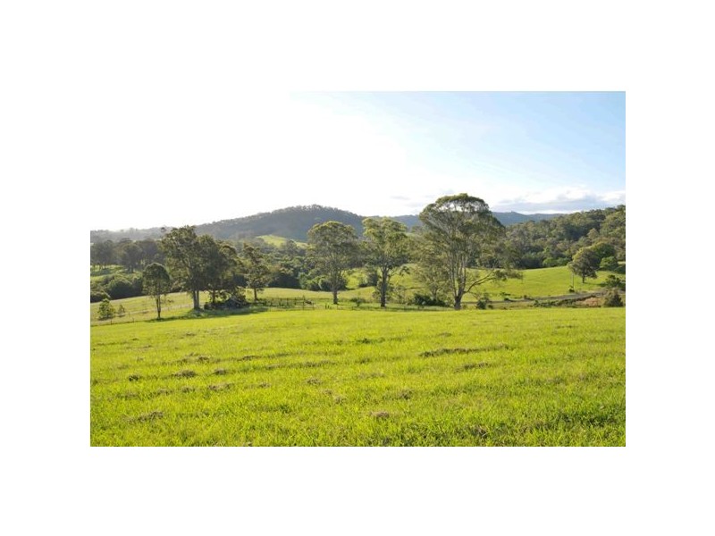 102 Johnsons Creek Rd, Stroud Road NSW 2415
