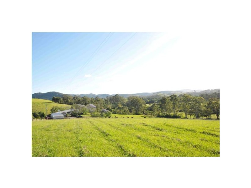 102 Johnsons Creek Rd, Stroud Road NSW 2415