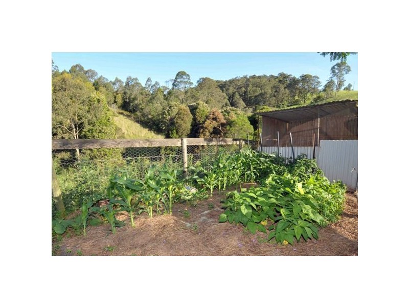 102 Johnsons Creek Rd, Stroud Road NSW 2415