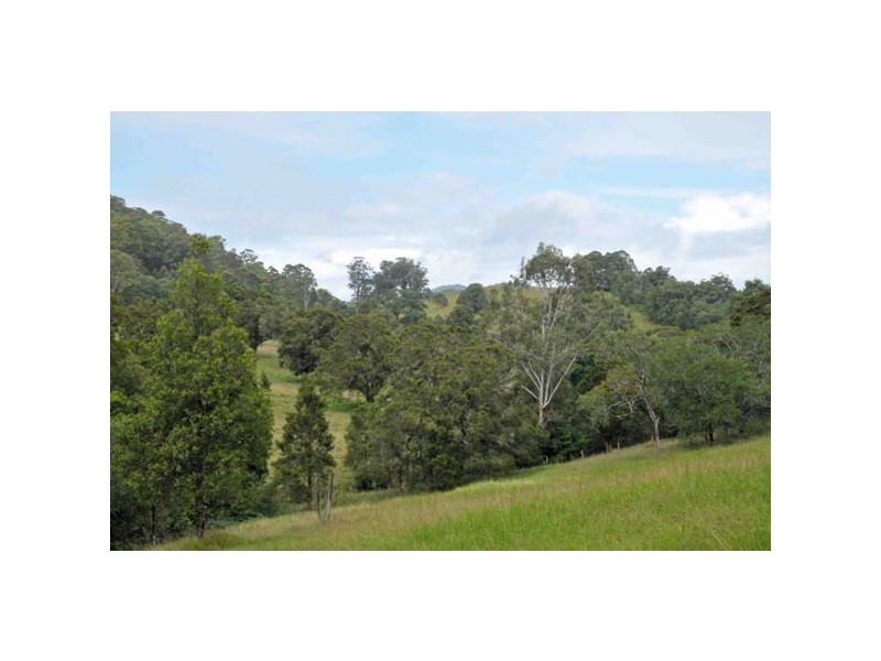 140 Johnsons Creek Rd, Stroud Road NSW 2415