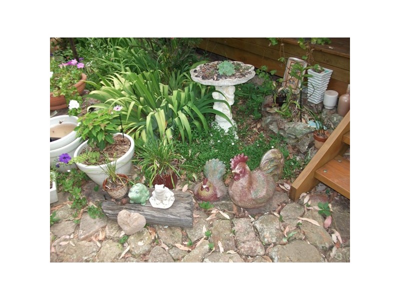 140 Johnsons Creek Rd, Stroud Road NSW 2415