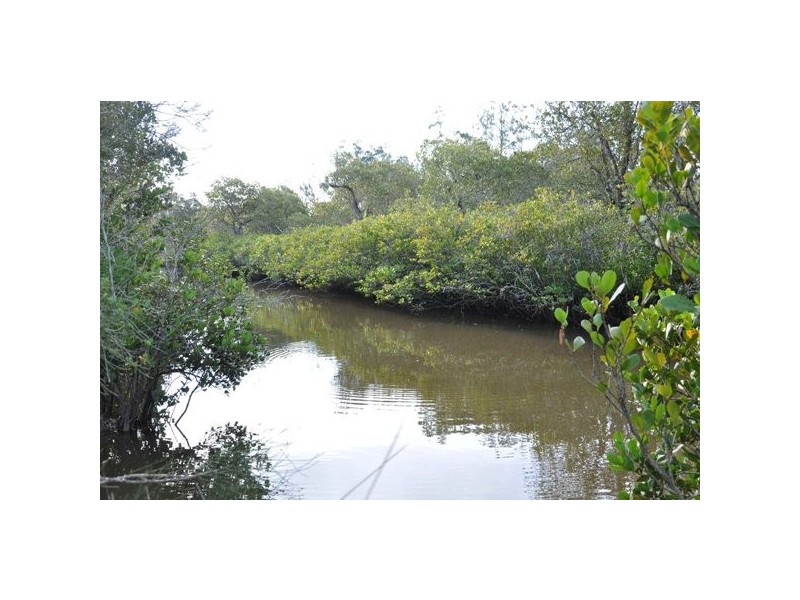 760 Warraba Rd, The Branch NSW 2425