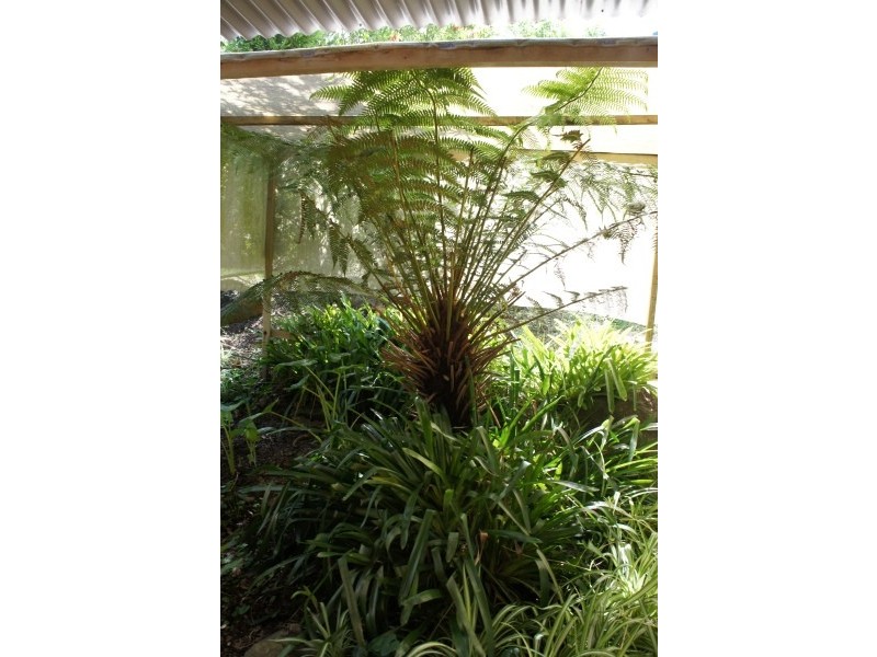 15 Mallon Street, Stroud NSW 2425