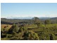 Allworth NSW 2425