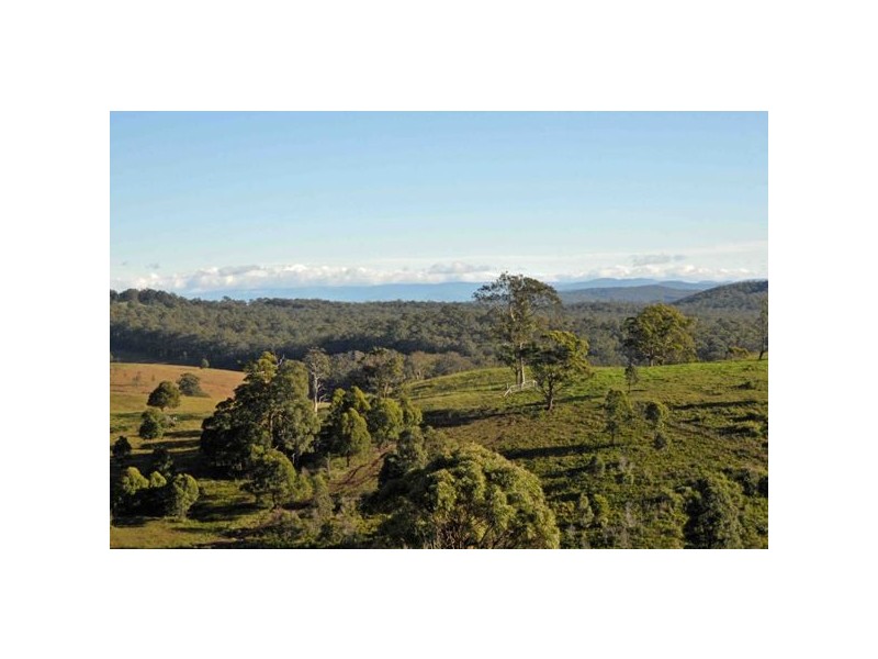 Allworth NSW 2425