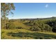 Allworth NSW 2425