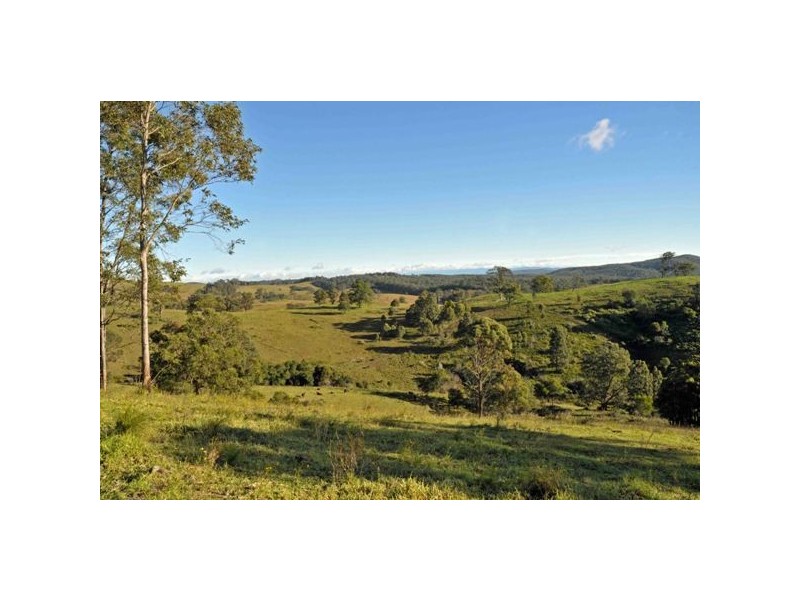 Allworth NSW 2425