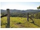 Allworth NSW 2425