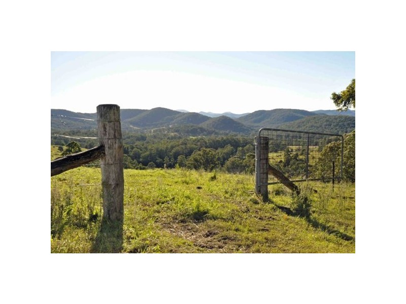 Allworth NSW 2425