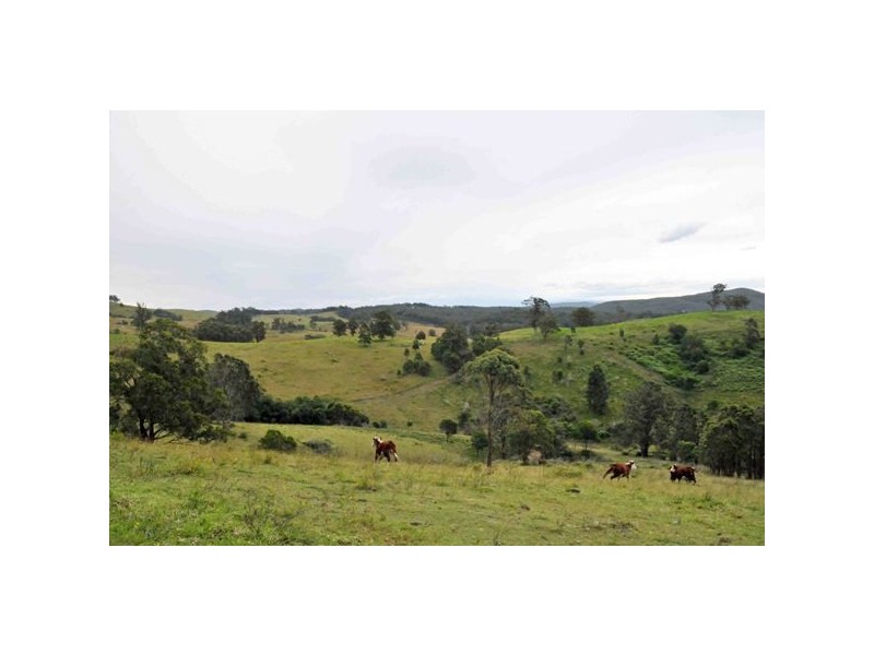 Allworth NSW 2425