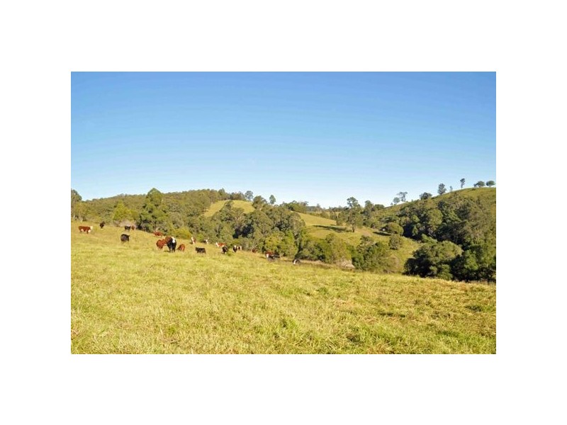 Allworth NSW 2425