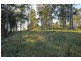 Allworth NSW 2425