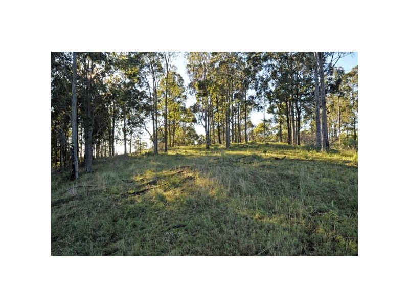 Allworth NSW 2425