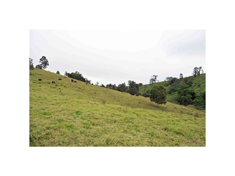 Allworth NSW 2425