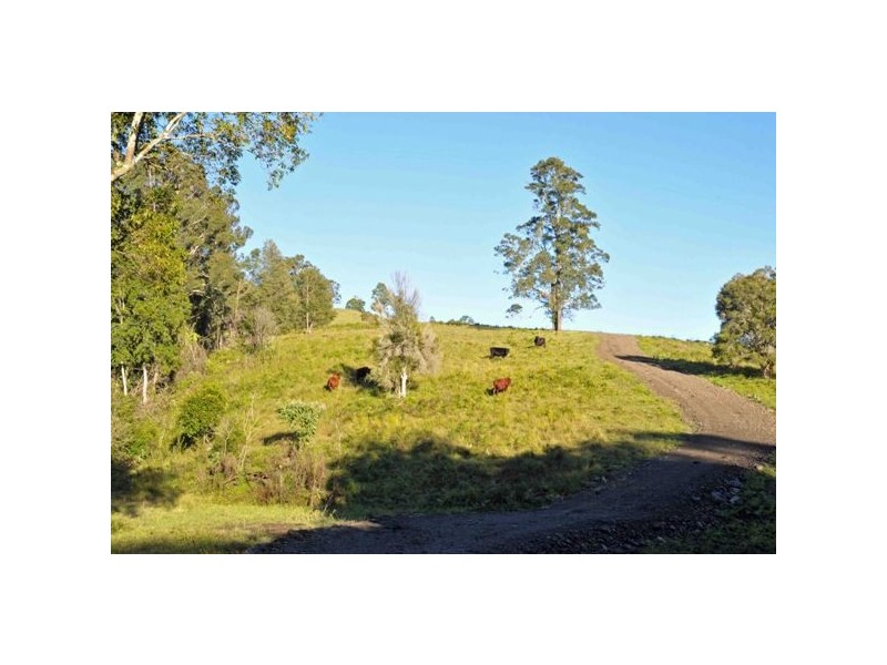 Allworth NSW 2425