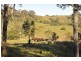 Allworth NSW 2425