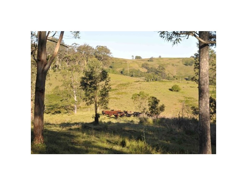 Allworth NSW 2425