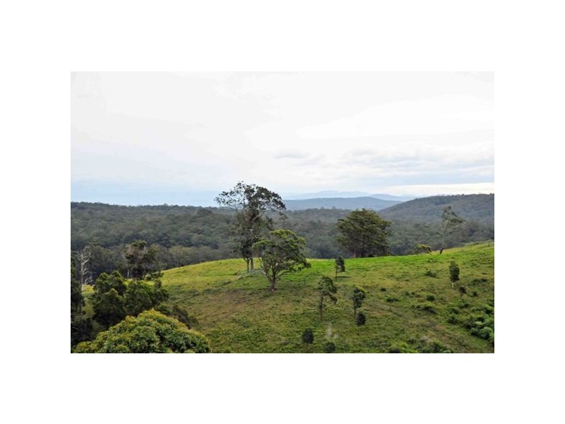 Allworth NSW 2425