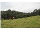Allworth NSW 2425