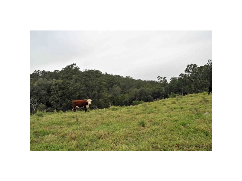 Allworth NSW 2425
