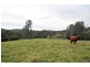 Allworth NSW 2425