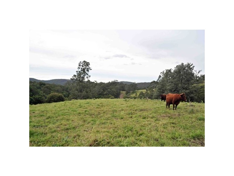 Allworth NSW 2425