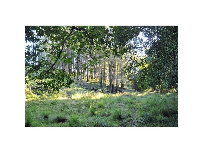 Allworth NSW 2425