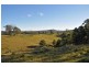 Allworth NSW 2425