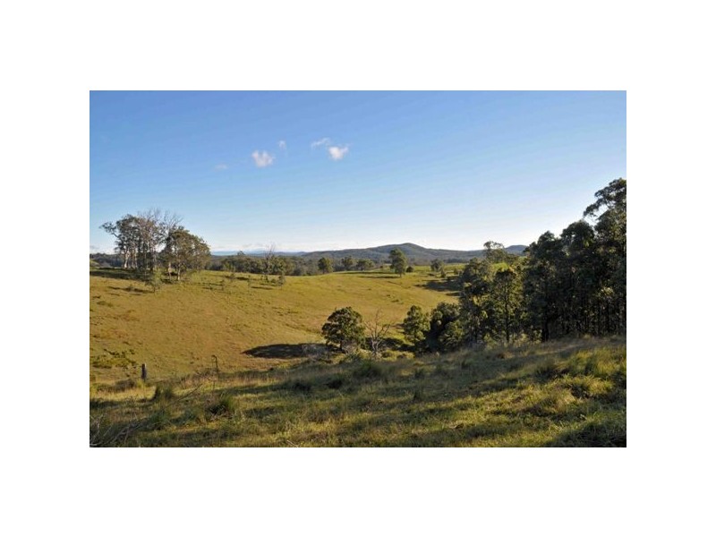 Allworth NSW 2425