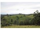 Allworth NSW 2425
