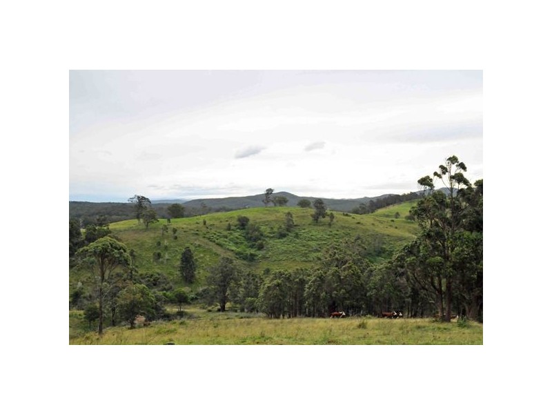 Allworth NSW 2425